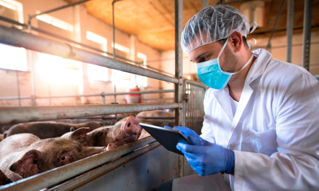El Ministro Planas llama a reforzar la bioseguridad ante la gripe aviar y la peste porcina
