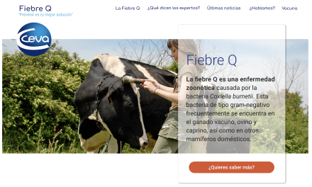Ceva Salud Animal lanza una página web de información y divulgación sobre la fiebre Q