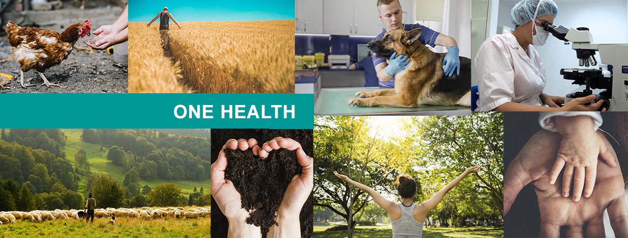 El III Health Innovation Forum de MSD reunirá a profesionales de la salud humana, animal y ambiental con un enfoque One Health