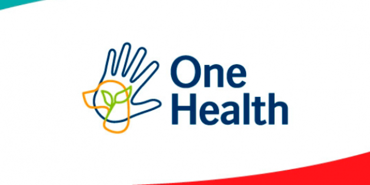 Boehringer Ingelheim organiza el evento One Health: avanzando hacia un abordaje integral de la salud