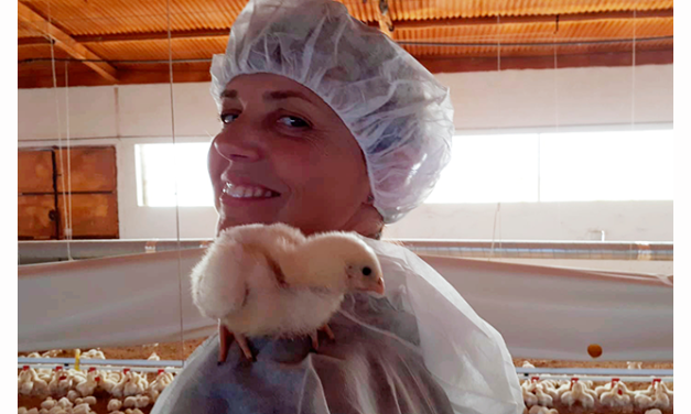 Boehringer Ingelheim Animal Health España nombra a Cristina Sierra como de jefa de Avicultura