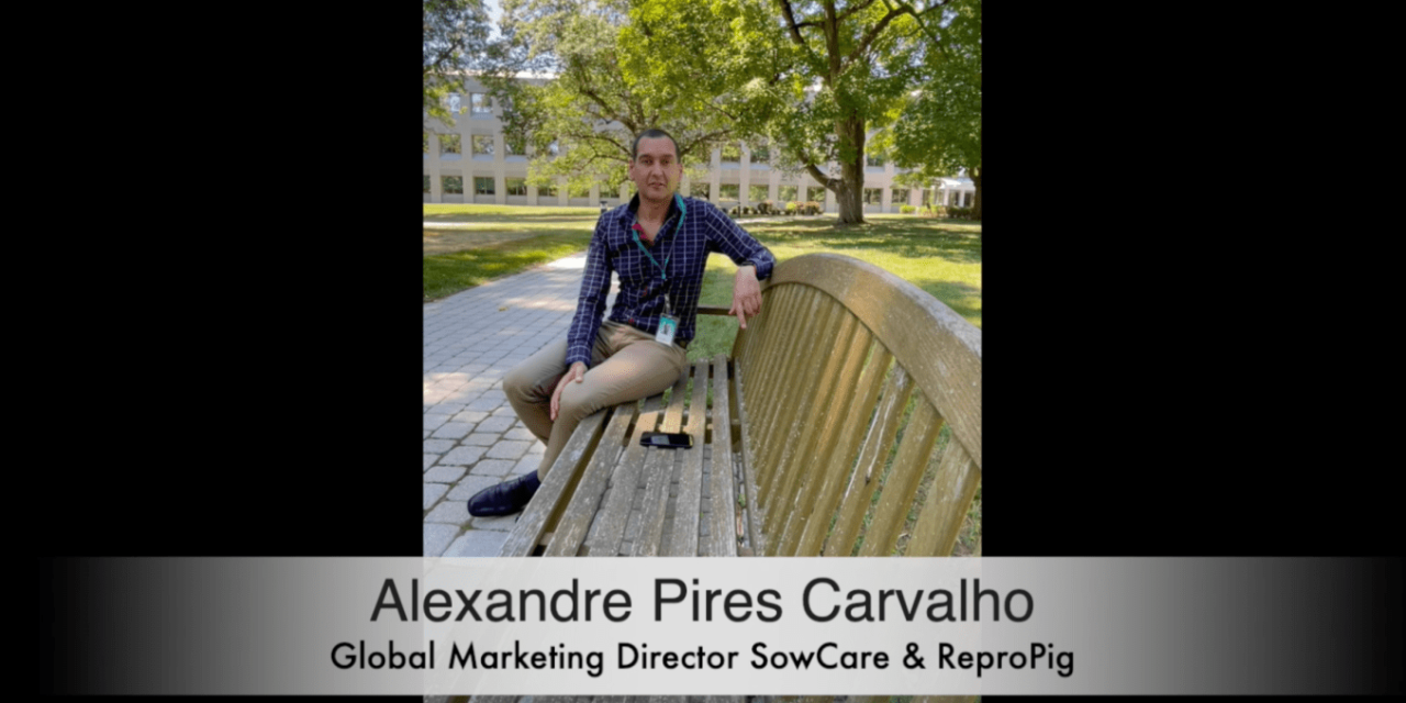 Entrevistamos a Alexandre Paulo Pires Carvalho, Global Marketing Director en Merck Animal Health